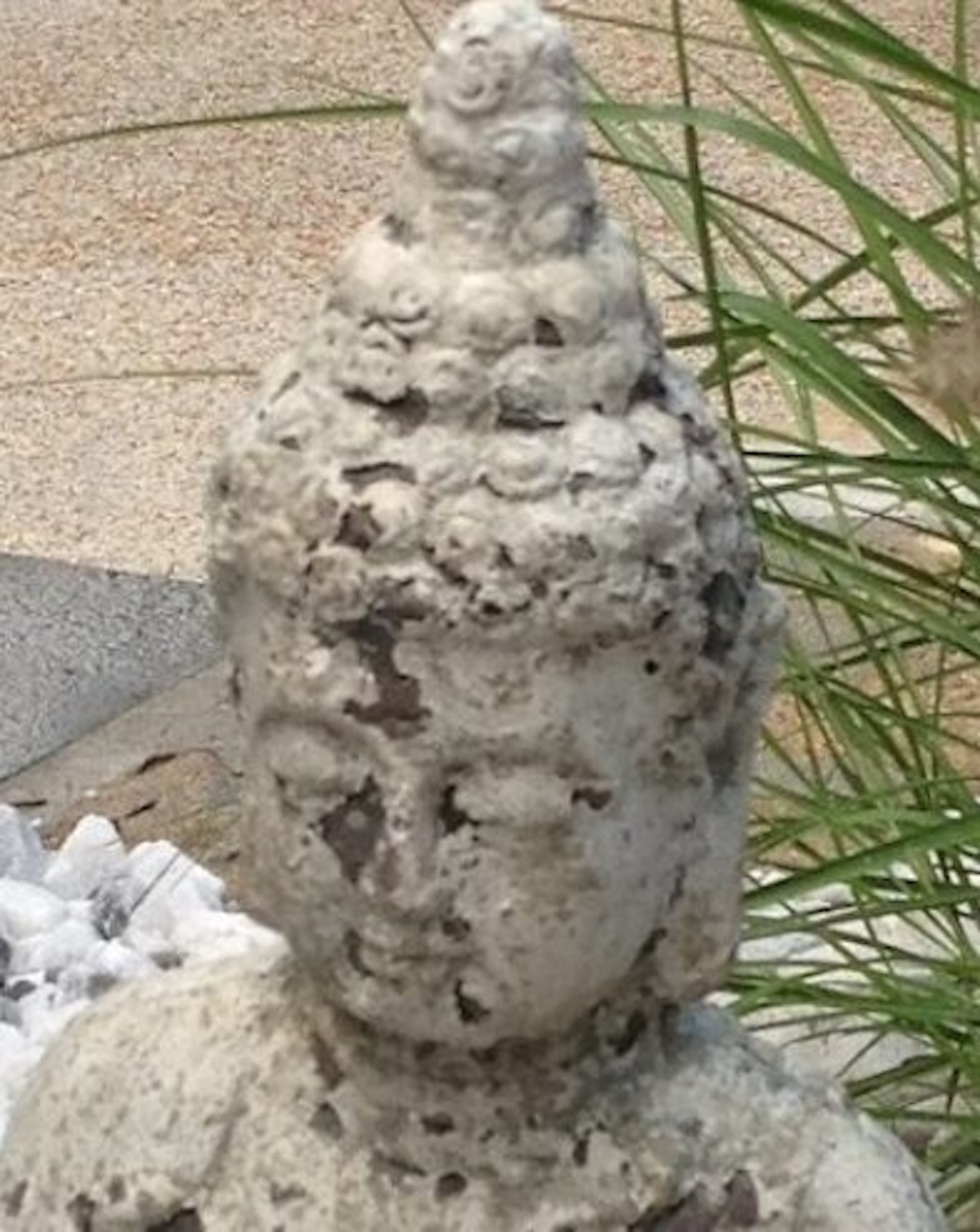 Garden of The Intellect